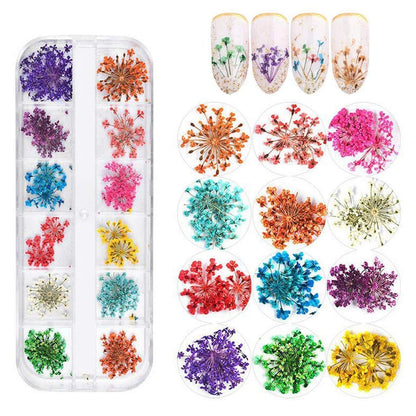 Nail Art Gerçek Kuru Süsleme Çiçekleri (12'li)